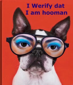 dog with fake glasses pretending to be human