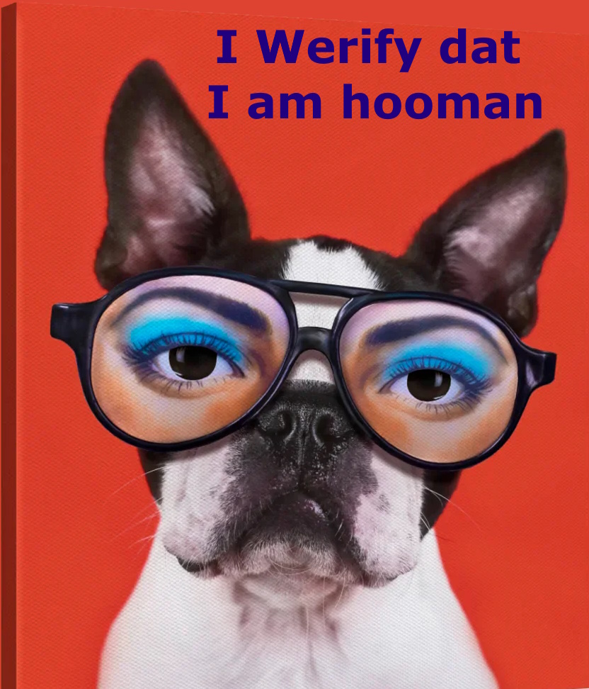 dog pretends to be human with fake glasses and human eyes